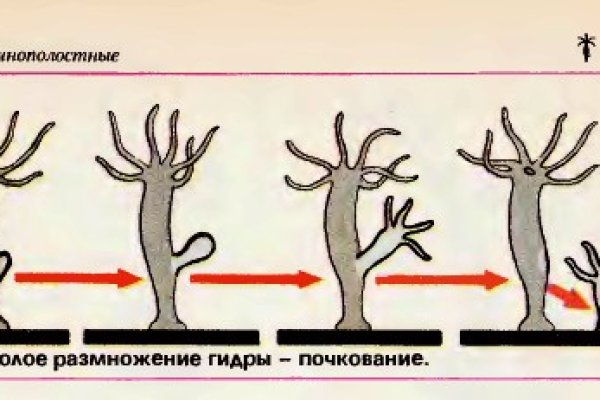 Кракен даркнет тор