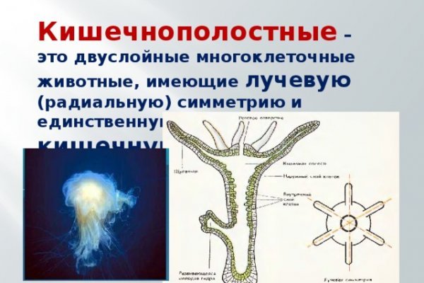 Кракен маркетплейс что это